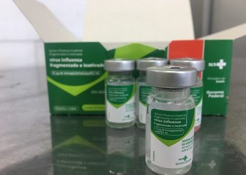 Espírito Santo mantém 2º lugar no ranking nacional de vacinação contra a Influenza