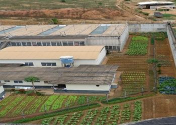 Detento é morto por colega de cela na Penitenciária de Colatina