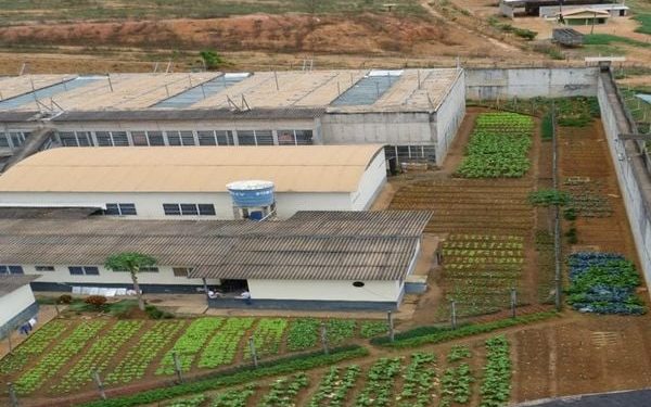 Detento é morto por colega de cela na Penitenciária de Colatina