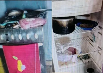 Mulher é presa por maus-tratos contra os próprios filhos em Vila Velha