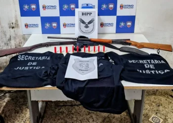 Mulher é presa em Colatina suspeita de se passar por policial penal